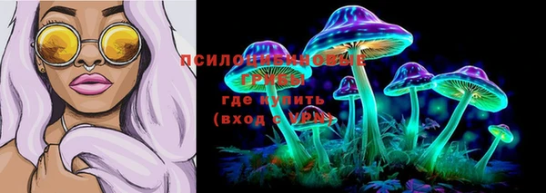герыч Верхний Тагил