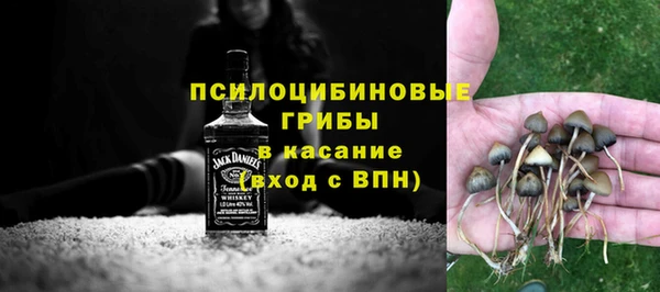 apvp Верея