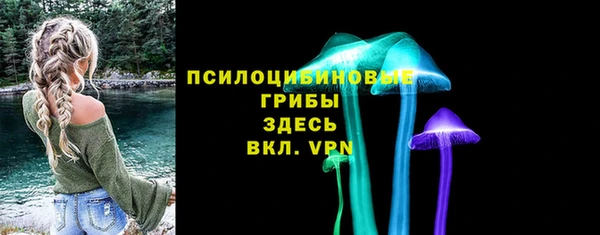 индика Верхнеуральск