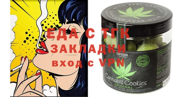 индика Бородино