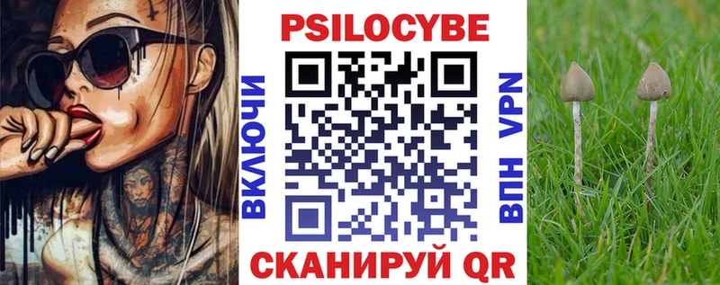 MEGA как зайти  Новомичуринск  Галлюциногенные грибы мицелий 